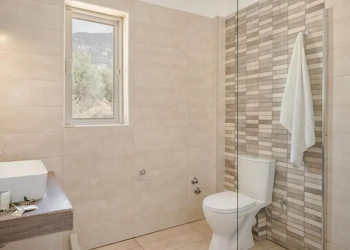 Summer Dream By Select *